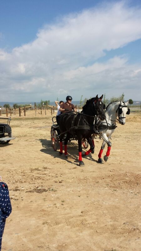 Inicio de la temporada de enganches